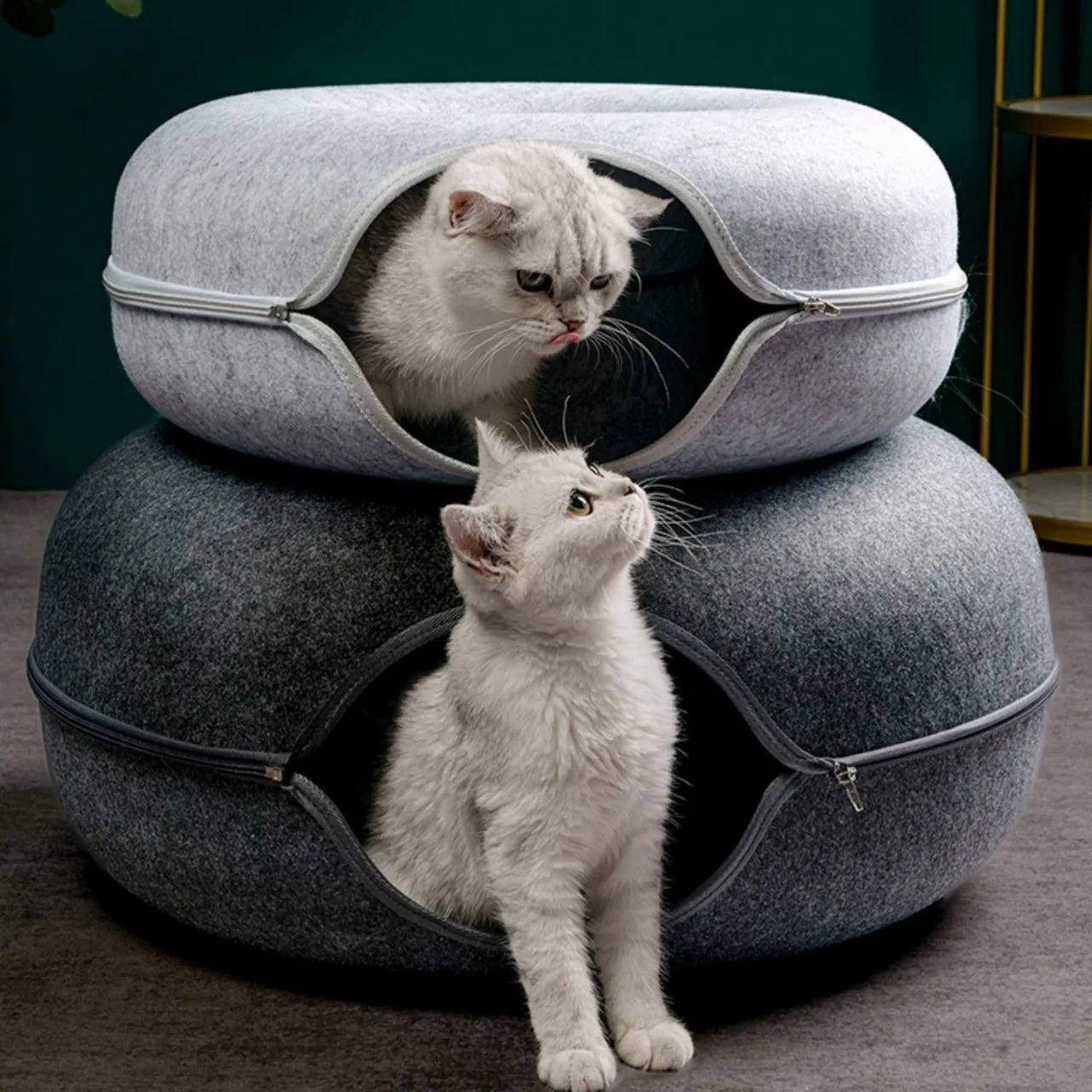 Interactive Cat Tunnel Bed - Cozy Felt Pet House