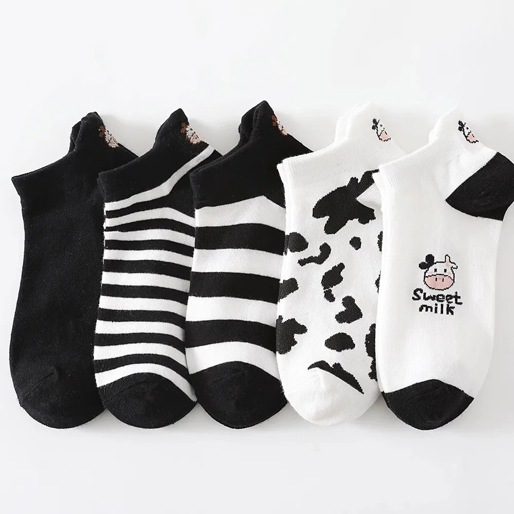 5 Pairs Cute Teddy Bear Ankle Socks for Women